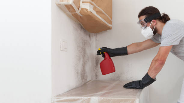 Professional Crawl Space Mold Remediation technician working in Galesville, MD